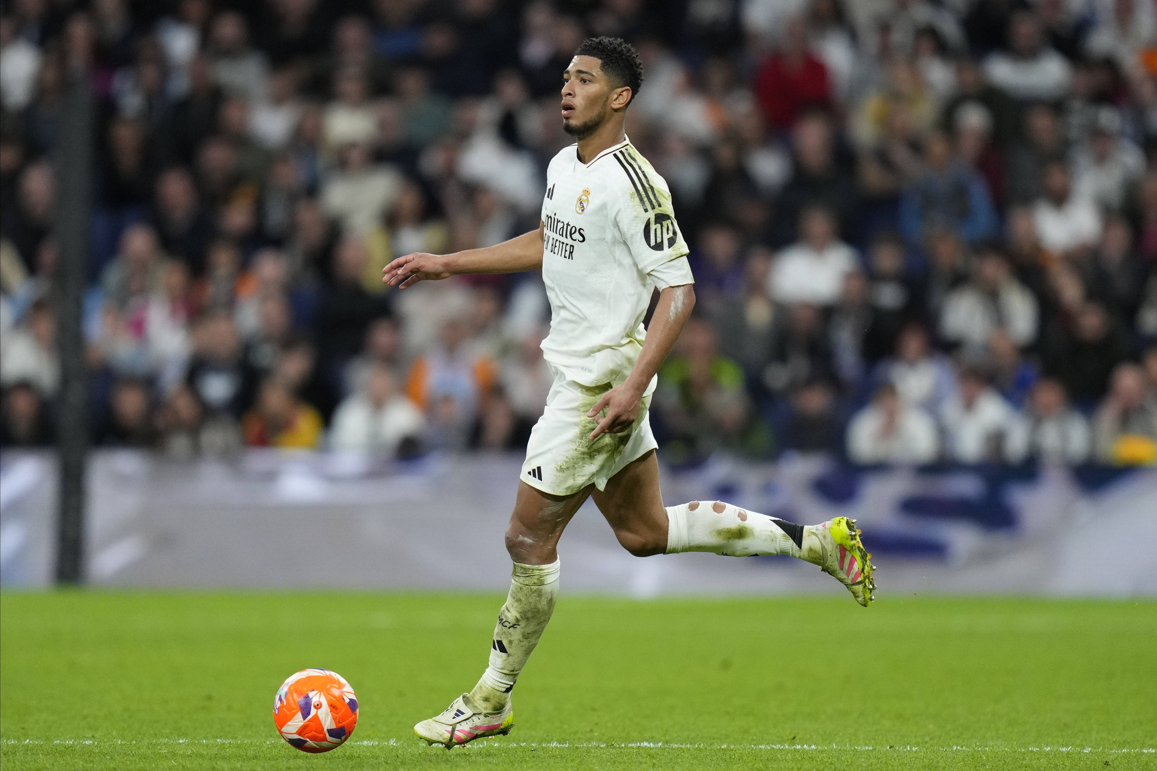 img, entit img, entit